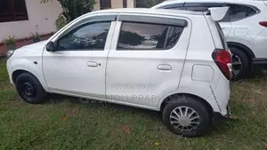 Suzuki Alto 2015 Car (Used)