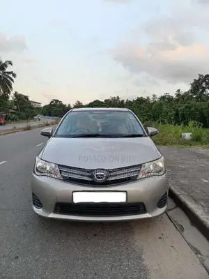 Toyota Axio G Grade 2012 Car (Used)