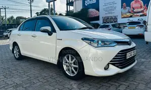 Toyota Axio G Grade 2016 Car (Used)