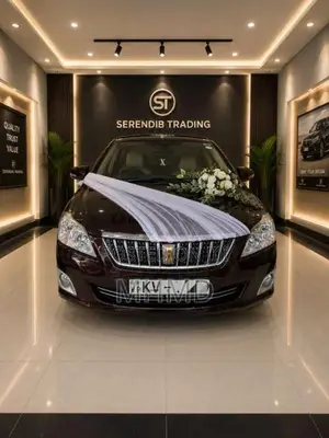 Toyota Premio G Superior 2013 Car (Used)