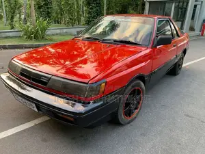 Nissan Sunny RZ-1 1989 Car (Used)