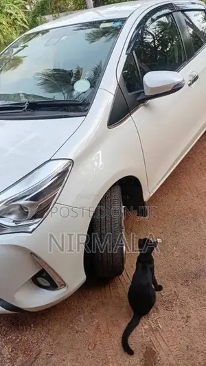 Toyota Vitz 2019 Car (Used)