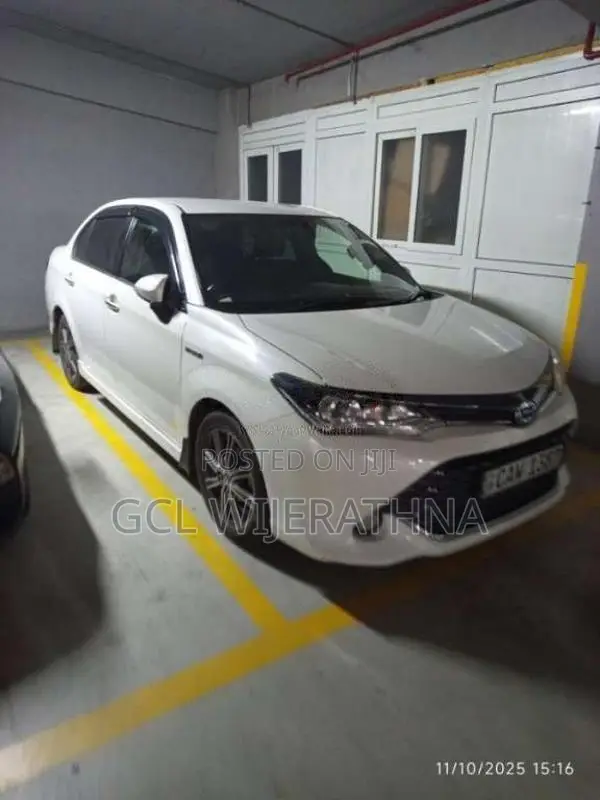 Toyota Axio 2017 Car (Used)