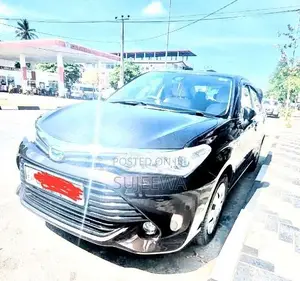 Toyota Axio 2015 Car (Used)