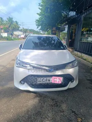 Toyota Axio 2017 Car (Used)