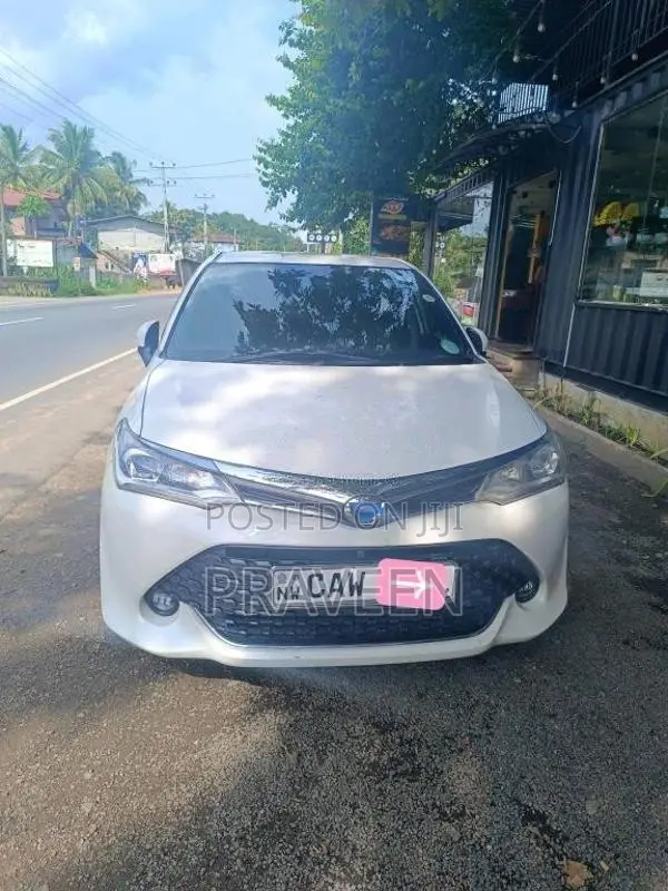 Toyota Axio 2017 Car (Used)