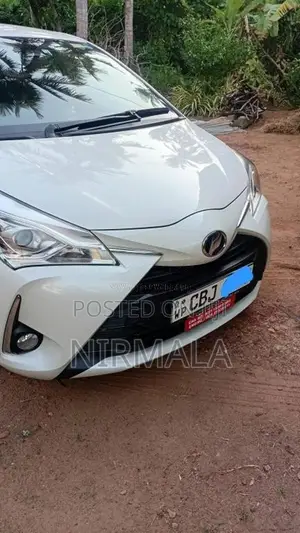 Toyota Vitz 2019 Car (Used)