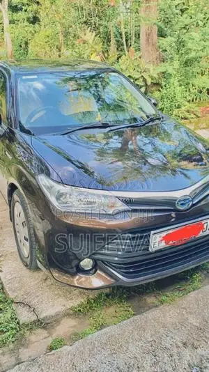 Toyota Axio 2015 Car (Used)