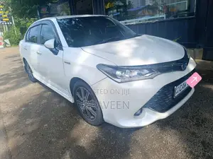 Toyota Axio 2017 Car (Used)