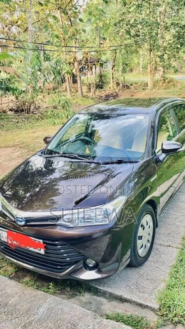 Toyota Axio 2015 Car (Used)