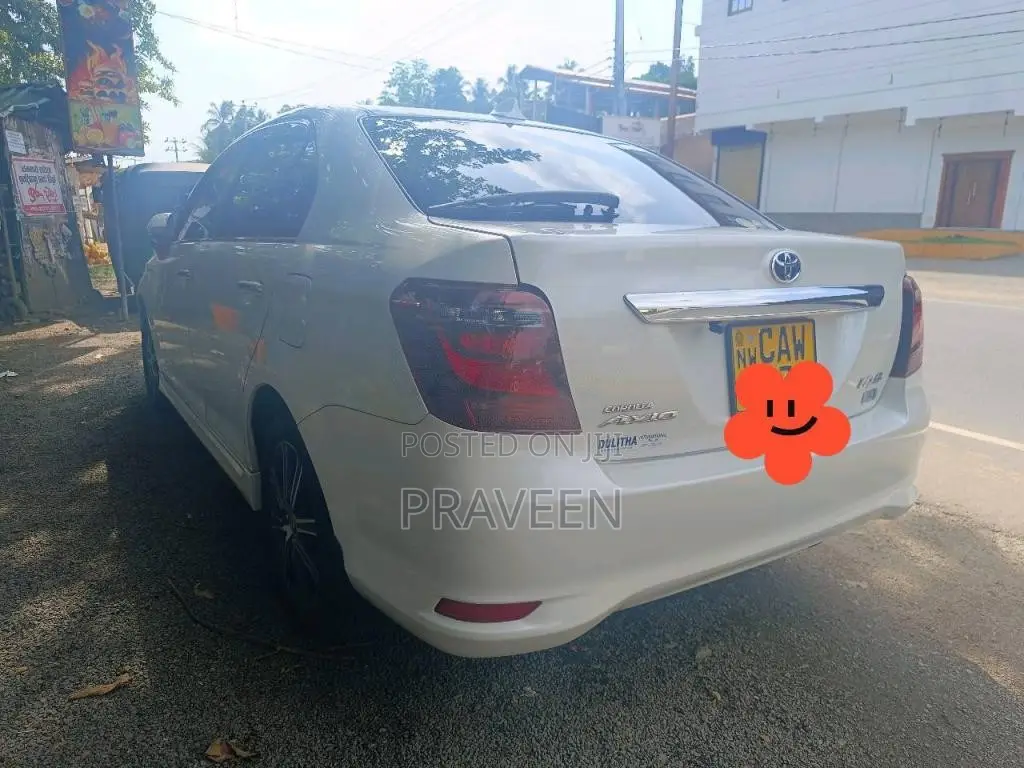 Toyota Axio 2017 Car (Used)