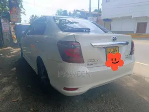 Toyota Axio 2017 Car (Used)