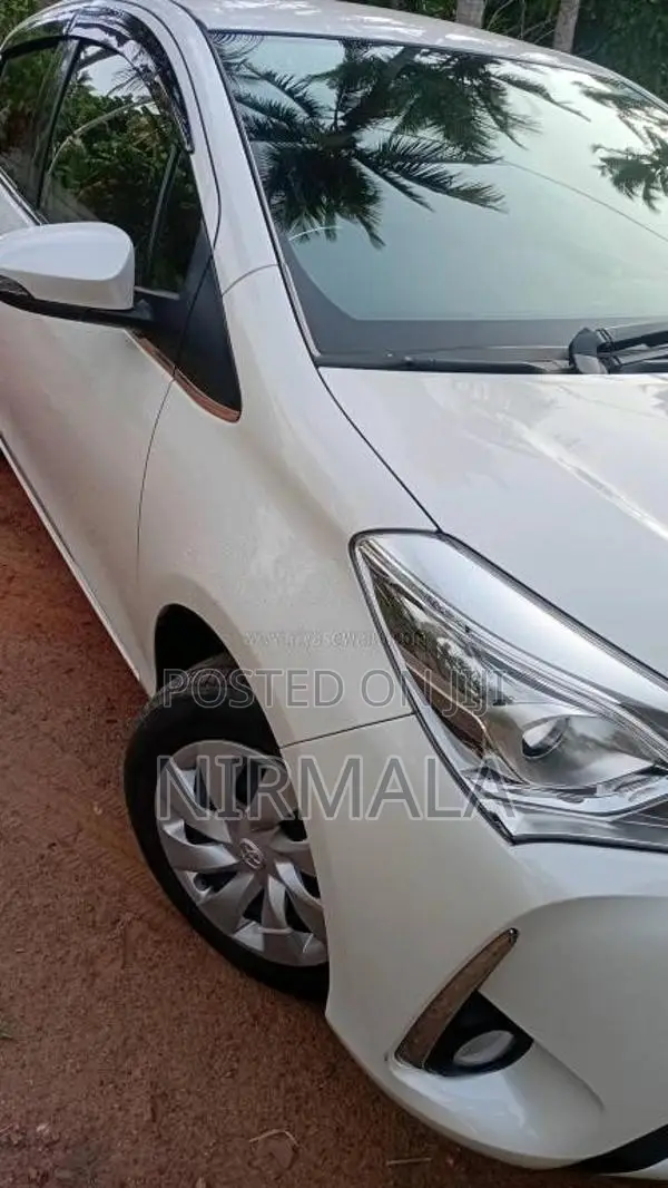 Toyota Vitz 2019 Car (Used)