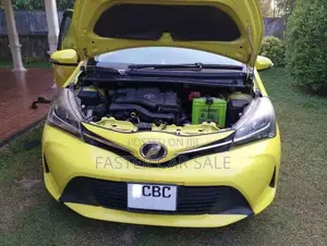 Toyota Vitz Edition 1 Safety 2015 Car (Used)
