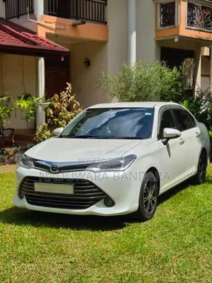 Toyota Axio 2015 Car (Used)