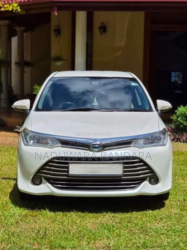 Toyota Axio 2015 Car (Used)