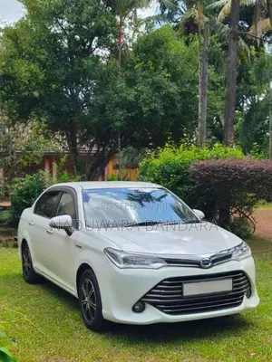 Toyota Axio 2015 Car (Used)