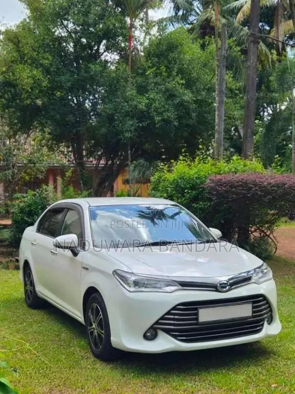 Toyota Axio 2015 Car (Used)