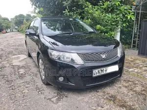Toyota Allion 2010 Car (Used)