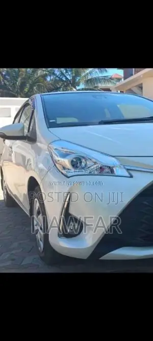 Toyota Vitz 2019 Car (Used)