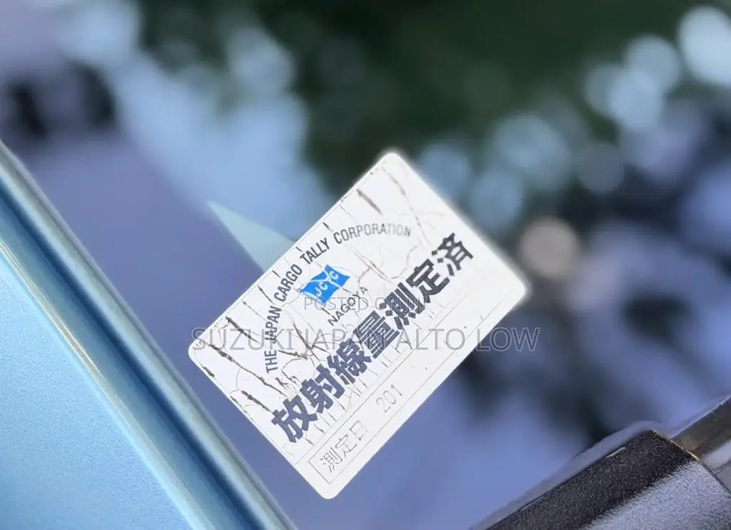 Suzuki Alto Japan 2019 Car (Used)