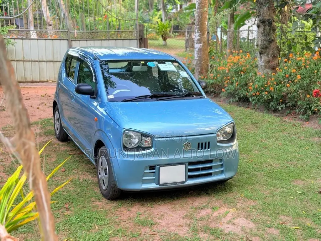 Suzuki Alto Japan 2019 Car (Used)
