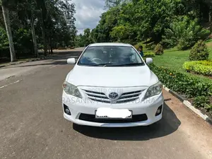 Toyota 141 Limited Edition 2010 Car (Used)