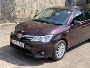 Toyota Axio G Grade 2015 Car (Used)