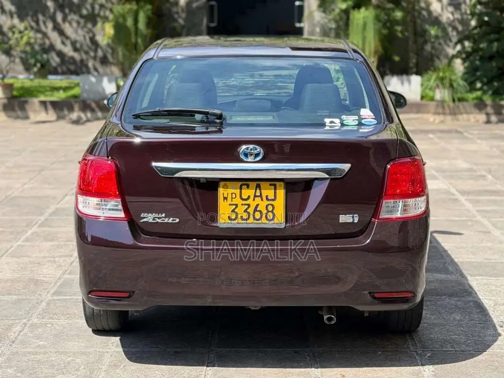 Toyota Axio G Grade 2015 Car (Used)