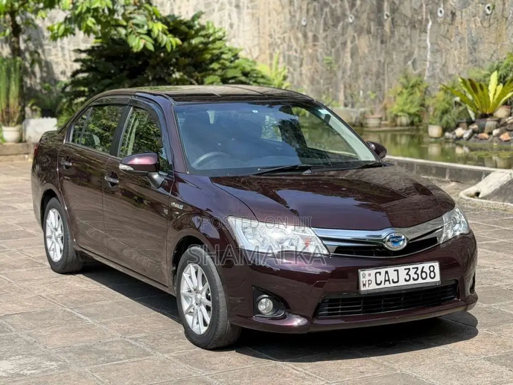 Toyota Axio G Grade 2015 Car (Used)