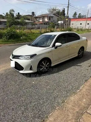 Toyota Axio 2018 Car (Used)