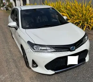 Toyota Axio 2018 Car (Used)