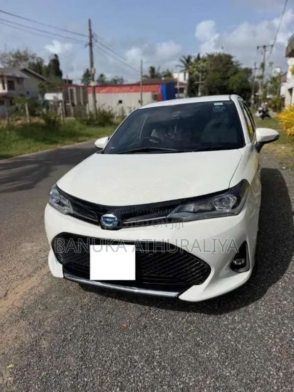 Toyota Axio 2018 Car (Used)
