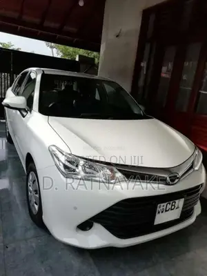 Toyota Axio 2017 Car (Used)