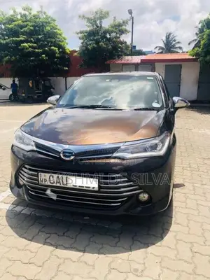 Toyota Axio 2016 Car (Used)