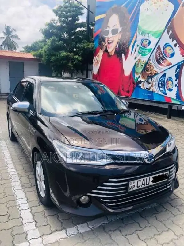 Toyota Axio 2016 Car (Used)