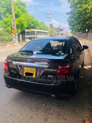 Toyota Axio 2016 Car (Used)