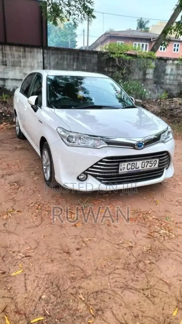 Toyota Axio 2017 Car (Used)