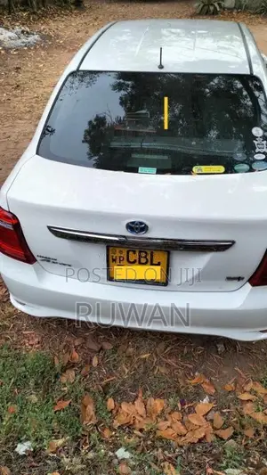 Toyota Axio 2017 Car (Used)