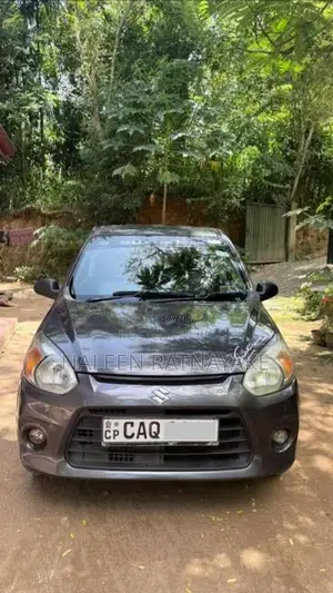 Suzuki Alto 2016 Car (Used)