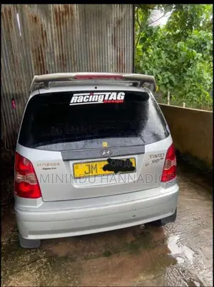 Hyundai Santro Xing 2005 Car (Used)