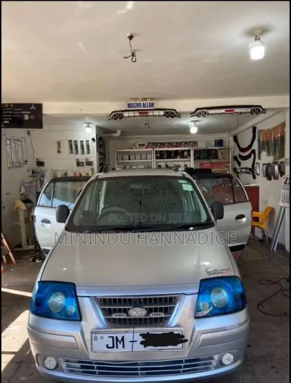 Hyundai Santro Xing 2005 Car (Used)