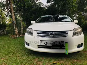 Toyota Axio 2007 Car (Used)