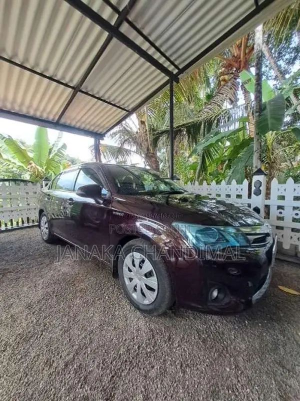 Toyota Axio 2014 Car (Used)