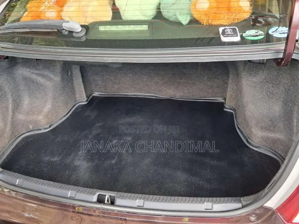 Toyota Axio 2014 Car (Used)