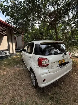 Toyota Passo 2023 Car (Used)