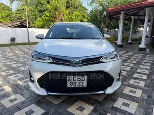 Toyota Axio 2018 Car (Used)