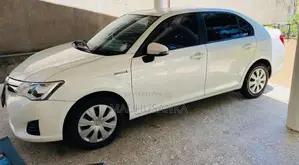 Toyota Axio 2014 Car (Used)
