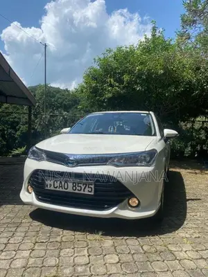 Toyota Axio 2015 Car (Used)