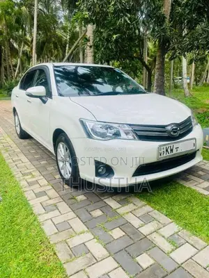 Toyota Axio 2013 Car (Used)